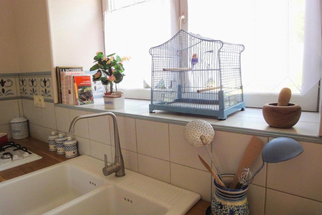 Photo of Others in Palmas-d'Aveyron