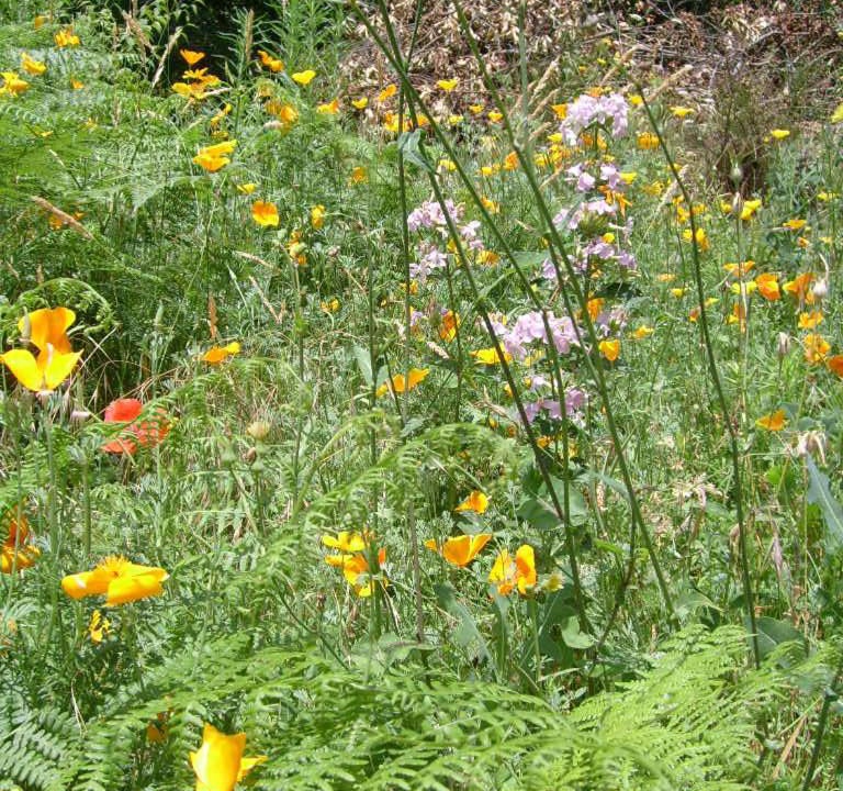 Photo of Outdoor in Rousses