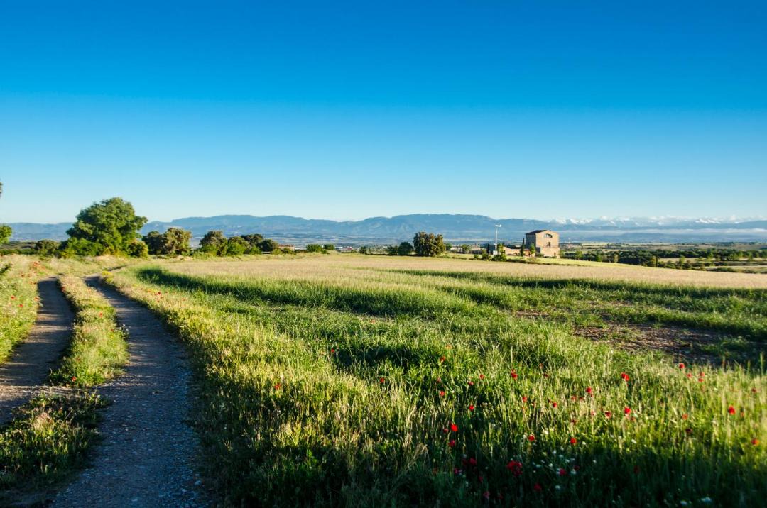 Photo of Outdoor in Tarrega