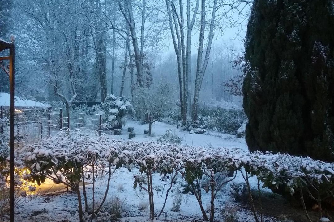 Photo of Others in Cherreau