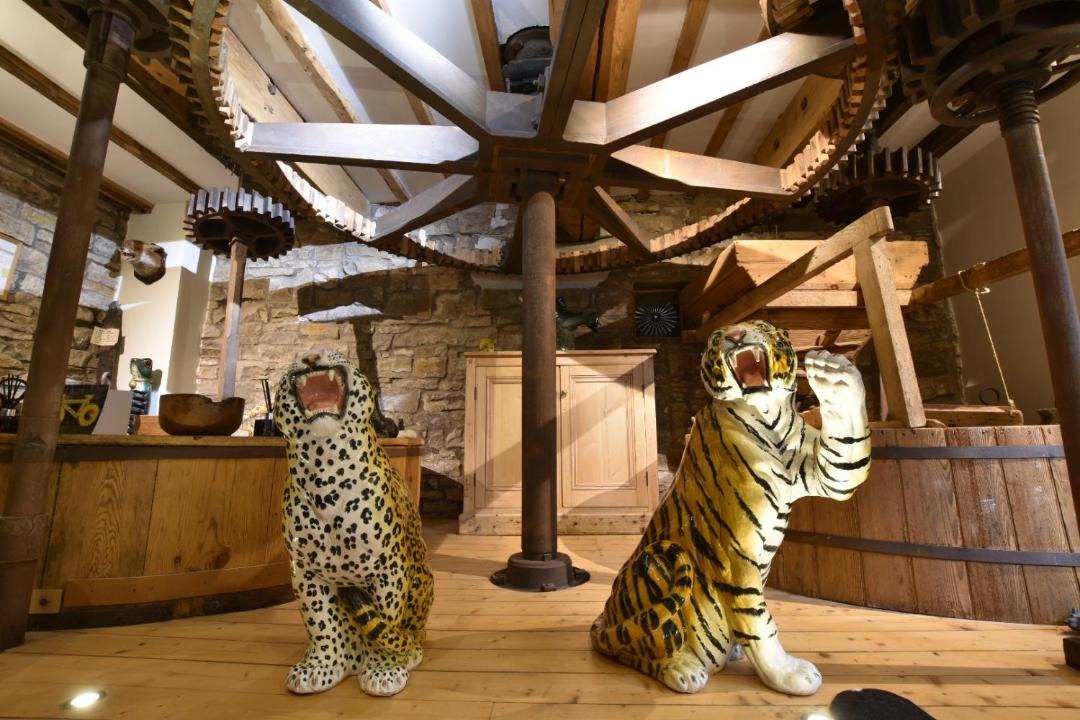 Photo of Others in Bainbridge