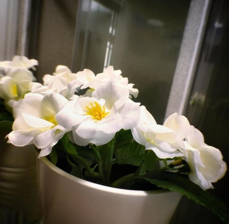 Photo of Others in Dudley