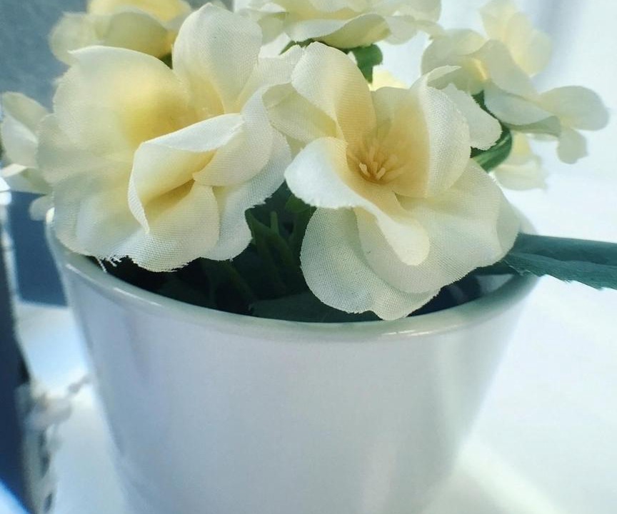 Photo of Others in Dudley