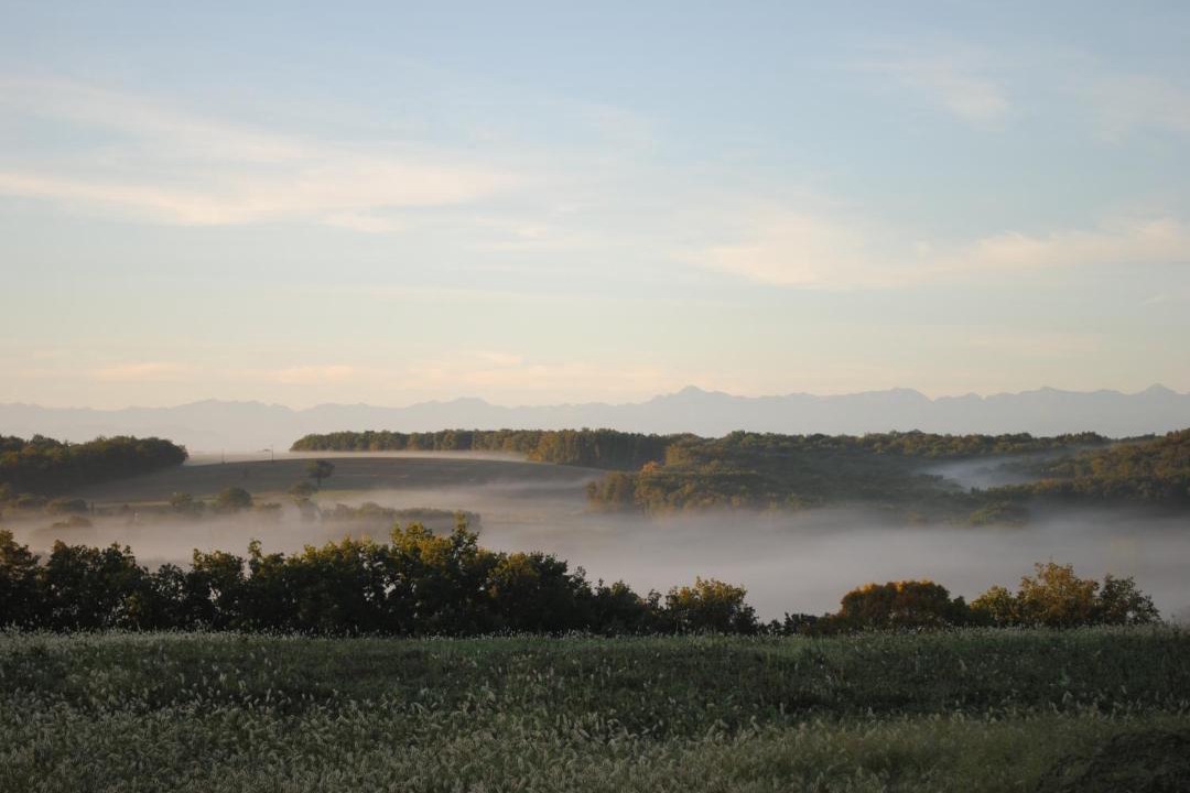 Photo of Others in Saint-Thomas
