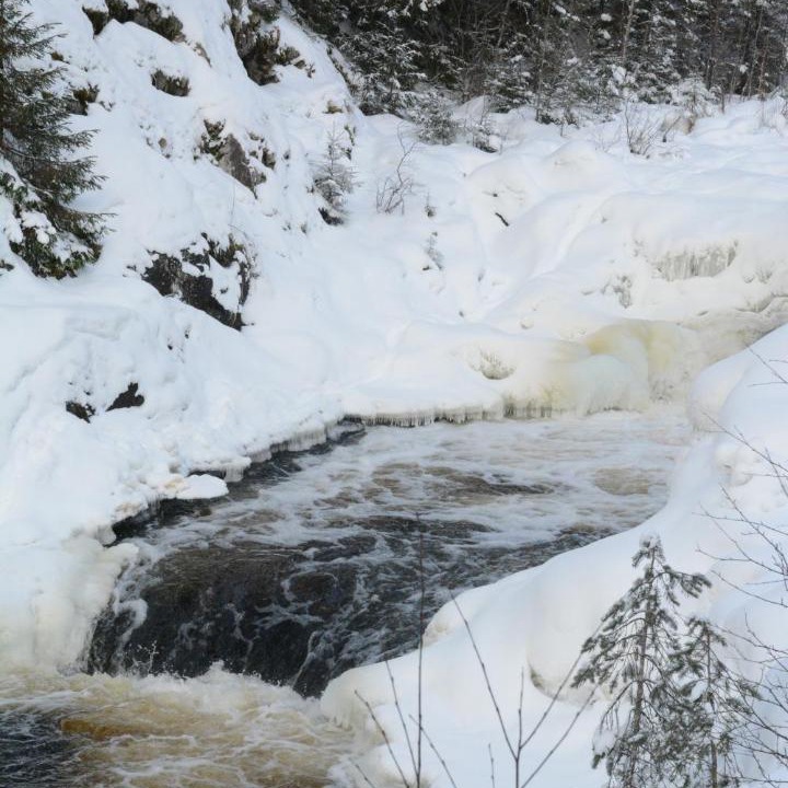 Photo of Others in Konchezero