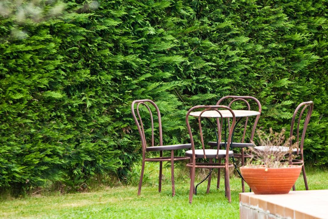 Photo of Patio Balcony in Pedrinya