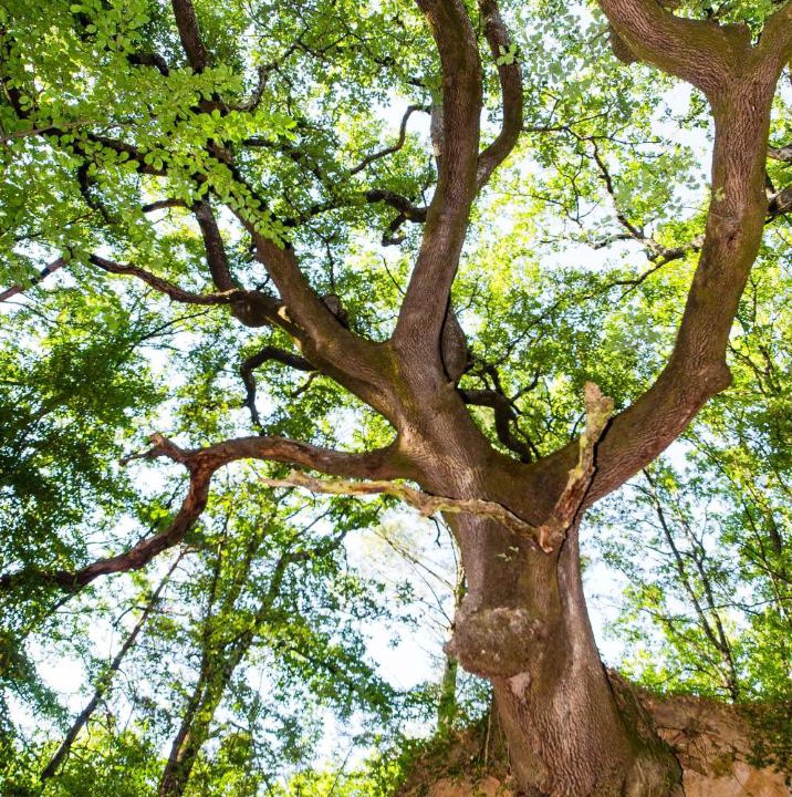 Photo of Others in Saint-Alexandre