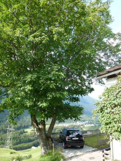Photo of Others in Bregaglia