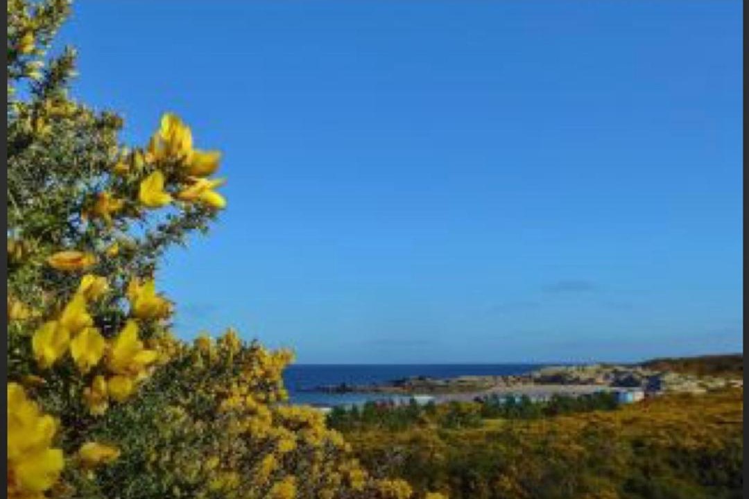 Photo of Outdoor in Hopeman