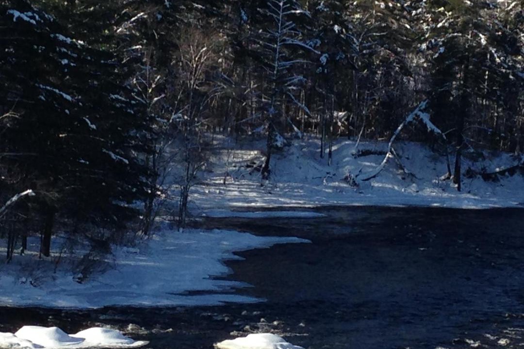 Photo of Others in Petawawa