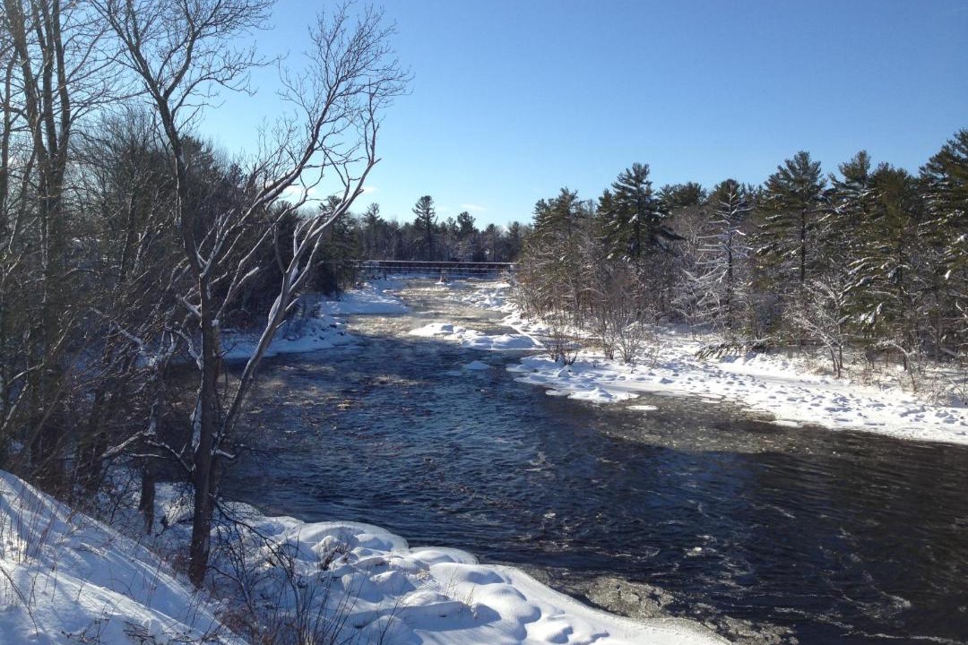 Photo of Others in Petawawa