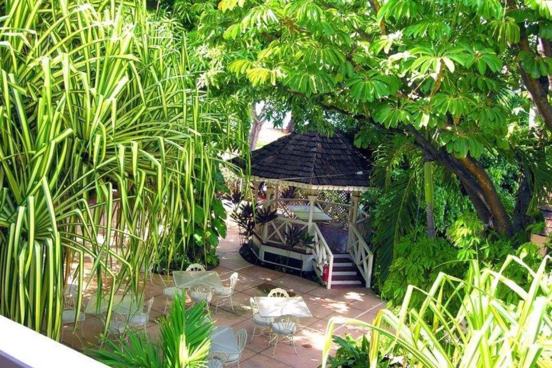 Photo of Others in Historic Lahaina Front Street