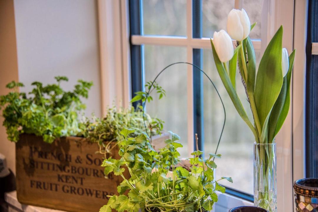 Photo of Others in Blandford Saint Mary