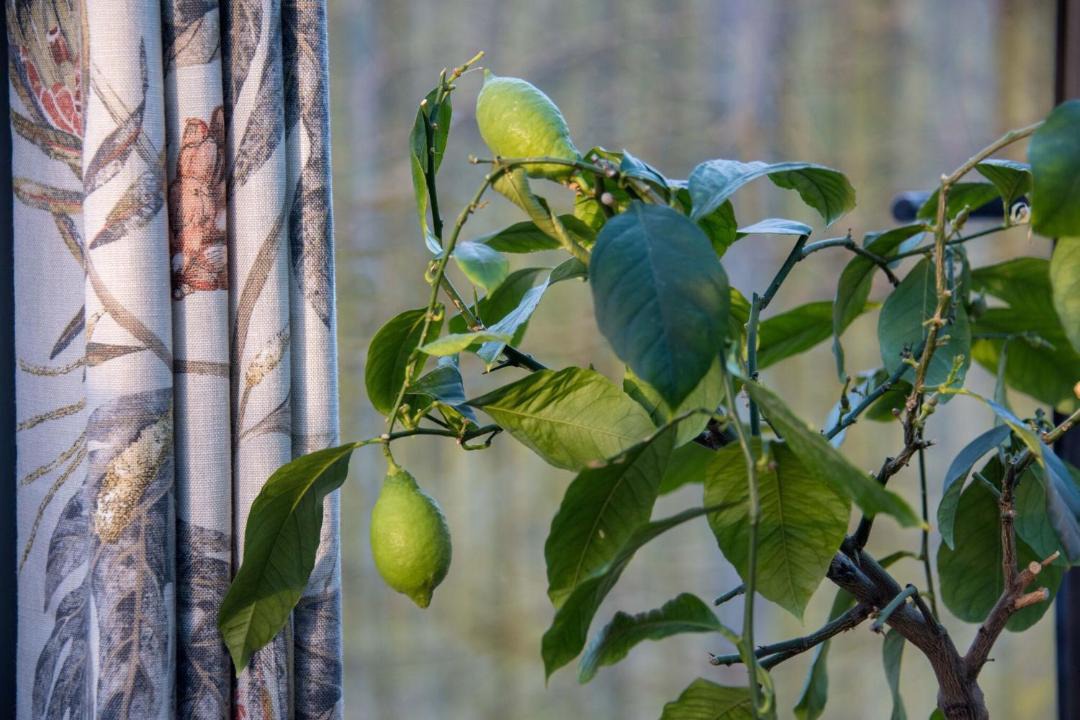 Photo of Patio Balcony in Blandford Saint Mary