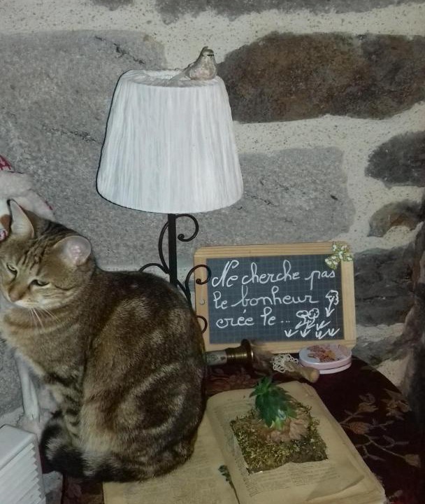 Photo of Others in Sauvat