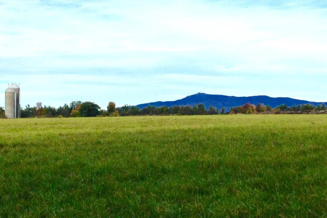 Photo of Others in Jaffrey