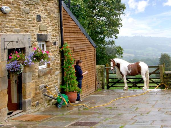 Photo of Others in Beeley