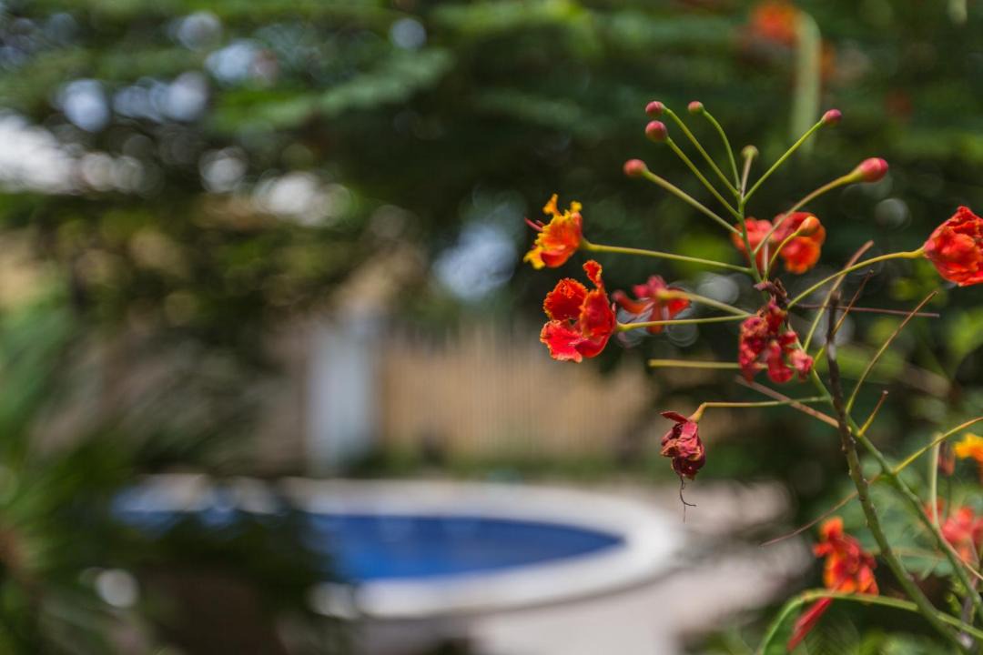 Photo of Others in Purwakerti