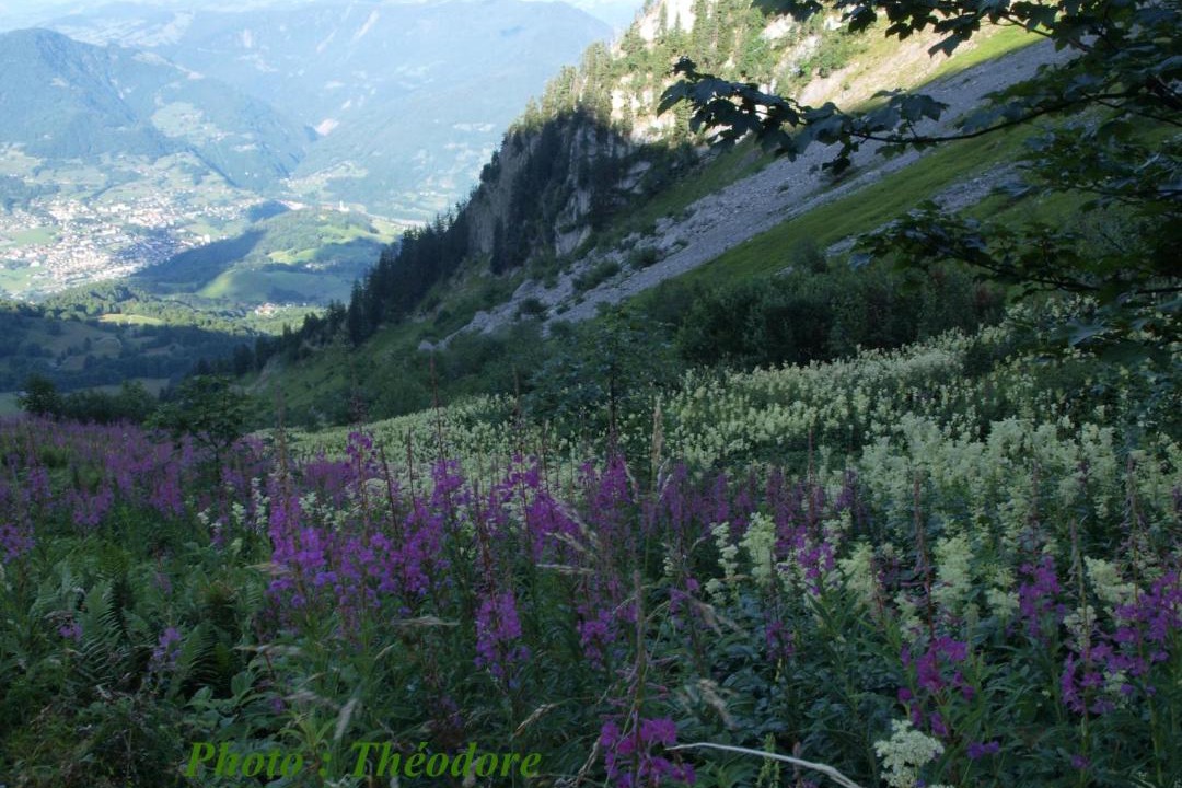 Photo of Others in Marthod