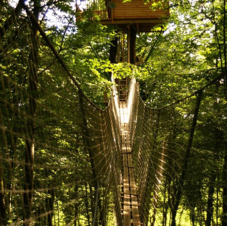 Photo of Others in Signy-lAbbaye