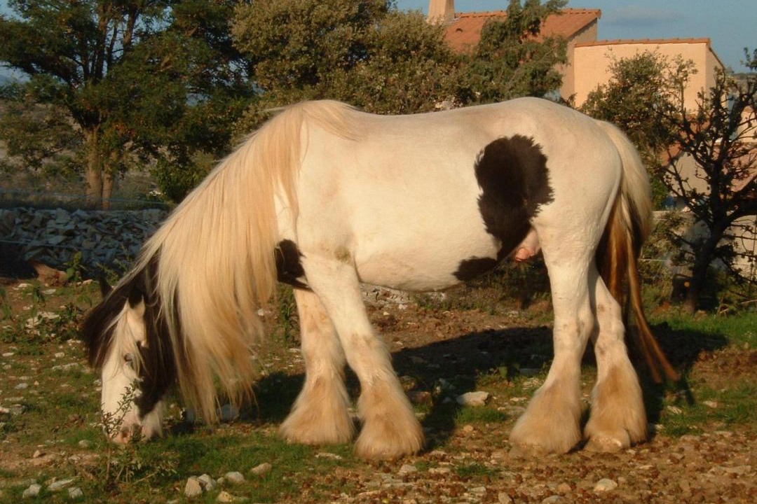 Photo of Others in Chateauneuf-Val-Saint-Donat