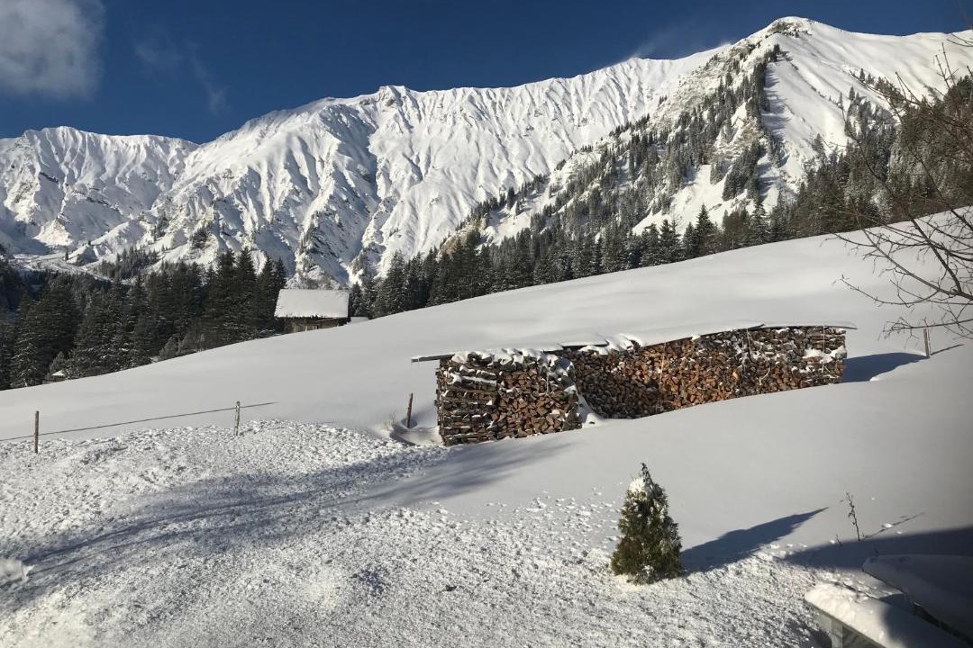 Photo of Others in Adelboden