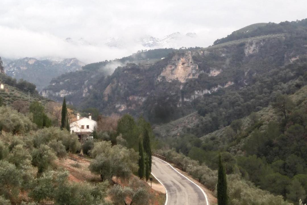 Photo of Others in Sorihuela del Guadalimar