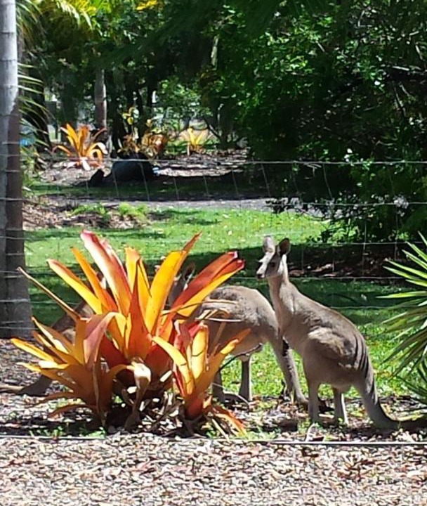 Photo of Others in Branyan