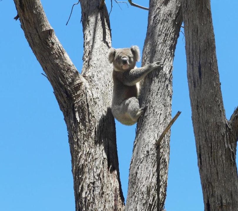 Photo of Others in Yarck