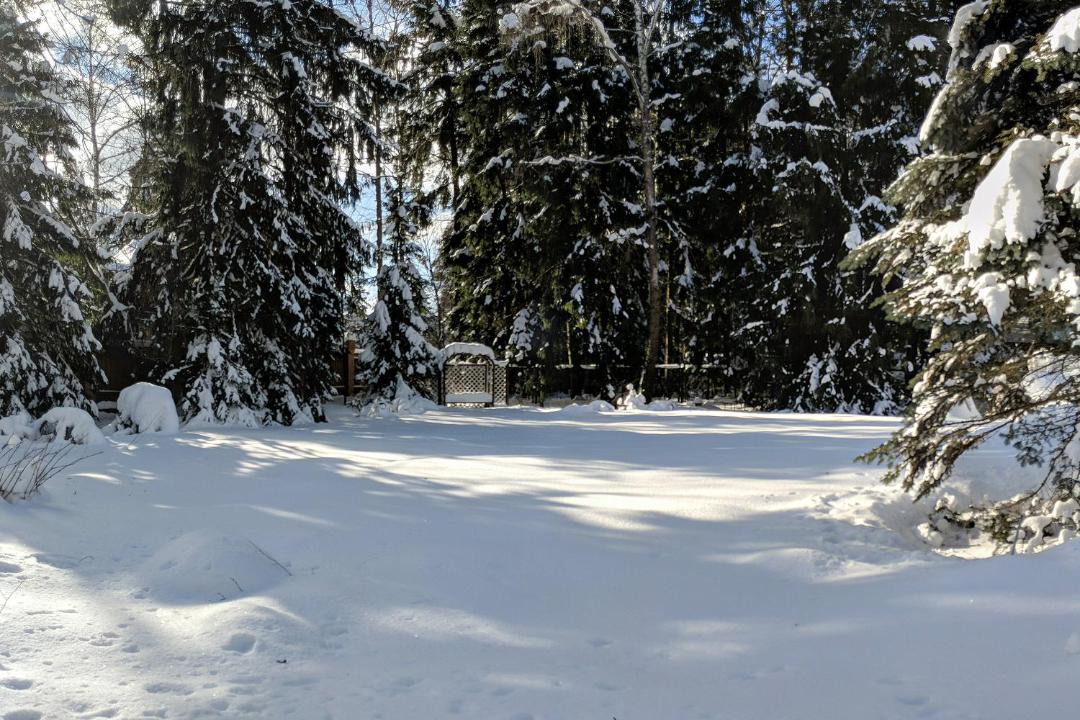 Photo of Others in Zelenogradskiy