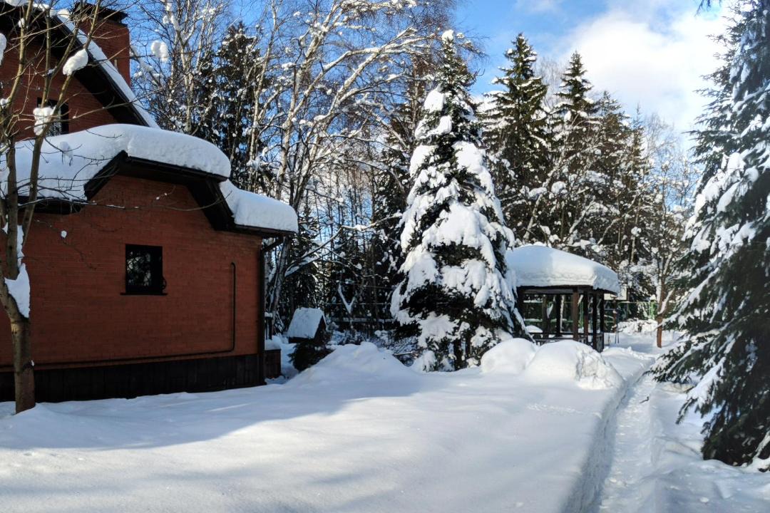Photo of Buildings in Zelenogradskiy