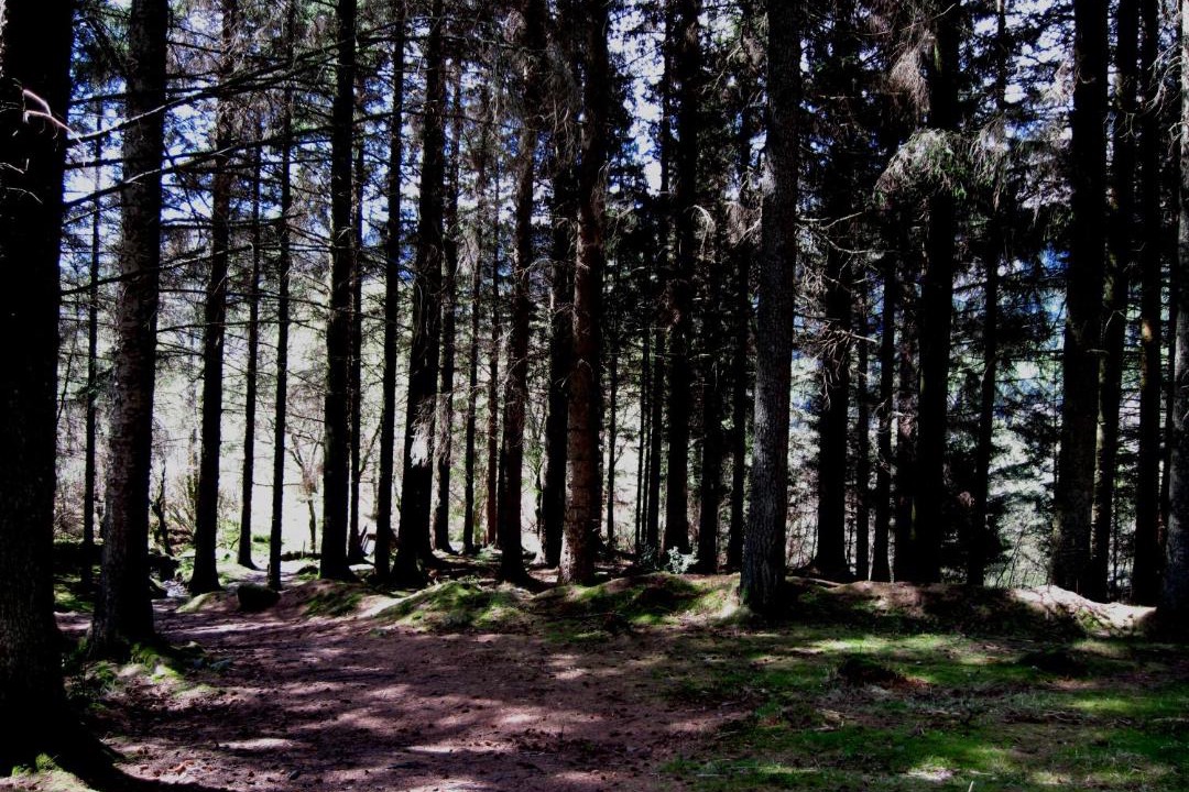 Photo of Buildings in Strathyre