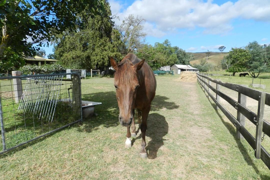 Photo of Others in Yarck