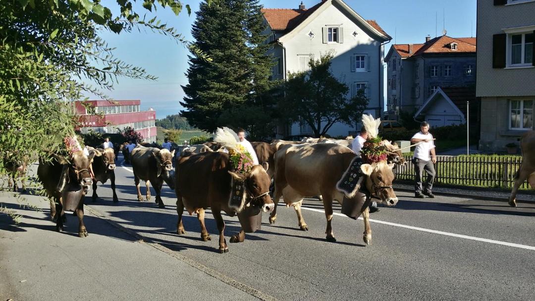 Photo of Others in Wolfhalden