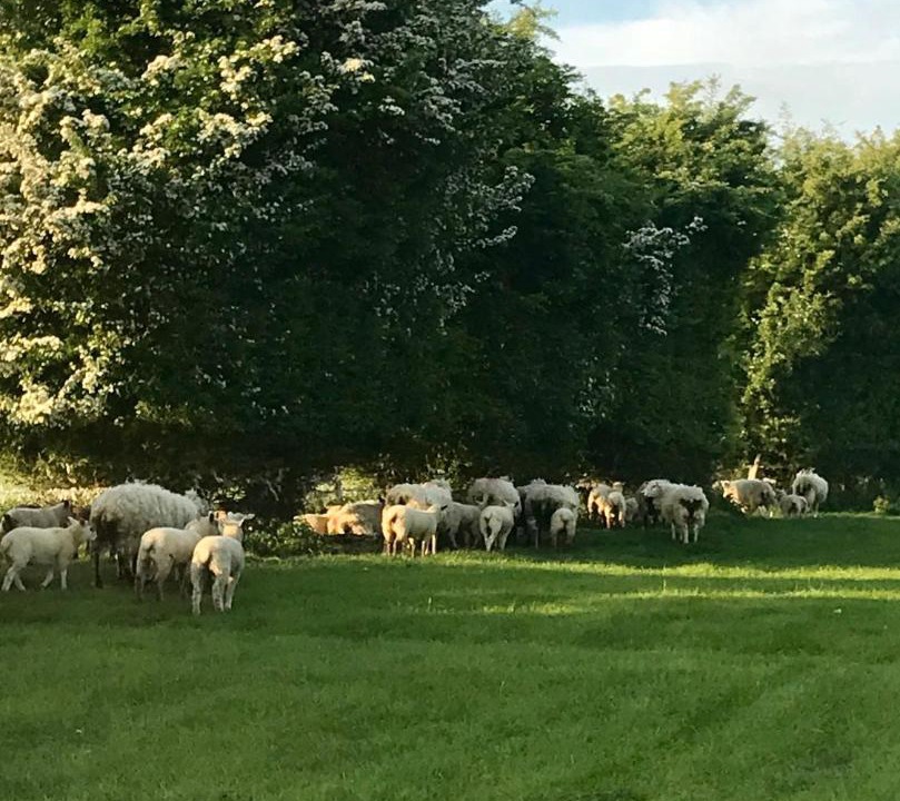 Photo of Others in Quedgeley