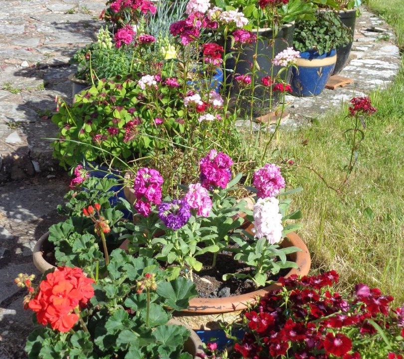 Photo of Others in Bishopswood