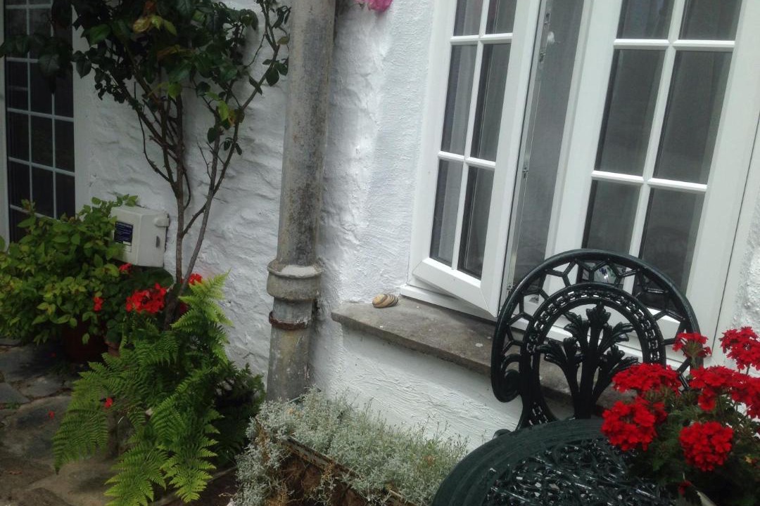 Photo of Buildings in Boscastle