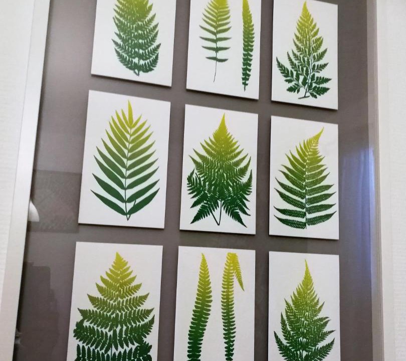 Photo of Others in Orgnac-l'Aven