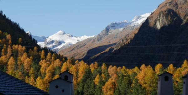 Photo of Others in Pontresina