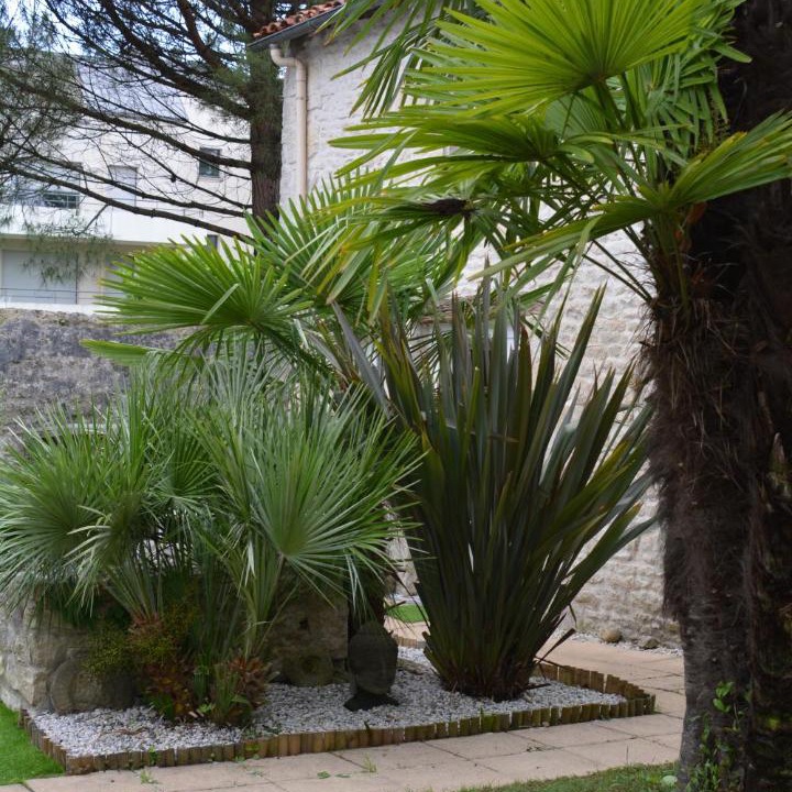 Photo of Others in Saint-Florent