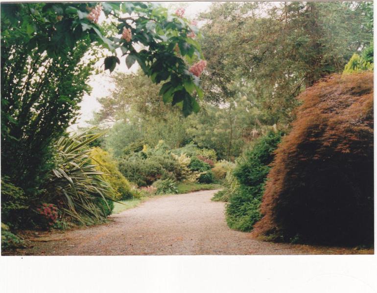 Photo of Others in Salies-de-Bearn