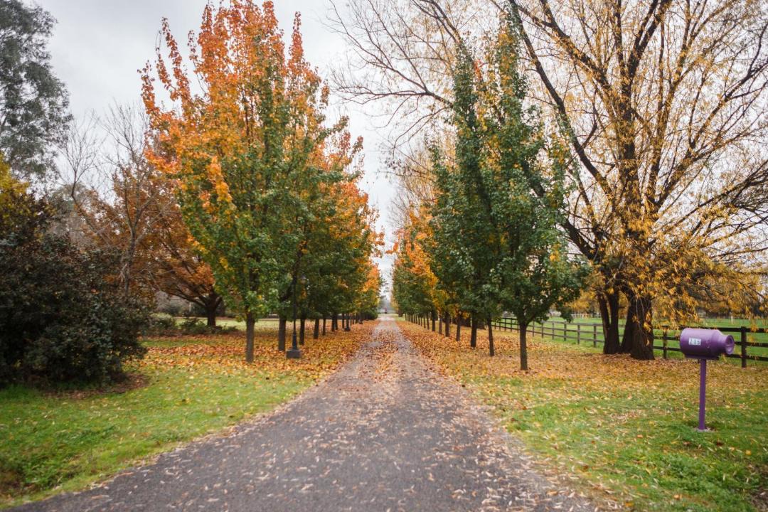 Photo of Others in Moyhu