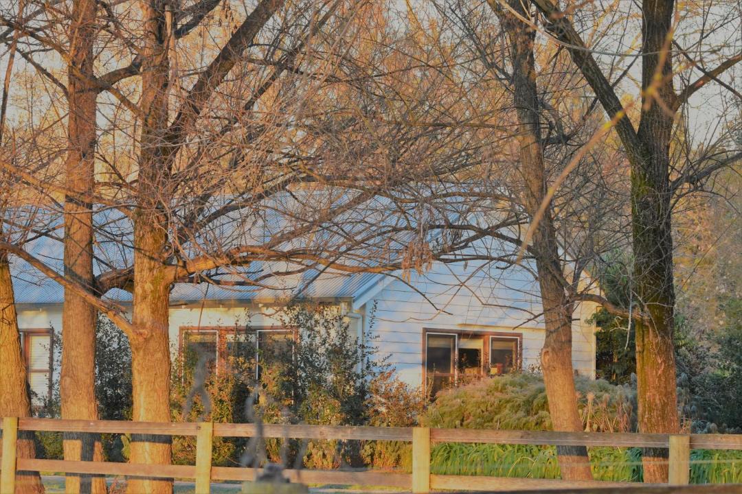 Photo of Others in Moyhu