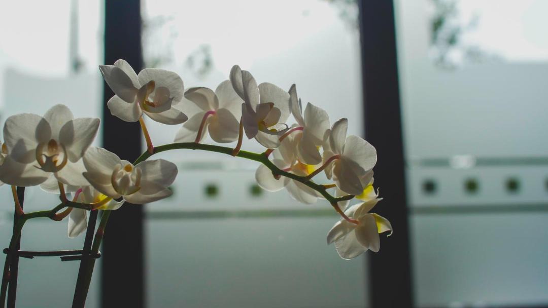 Photo of Others in Laon