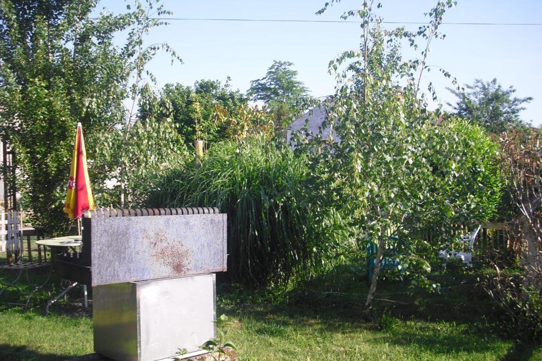 Photo of Others in Vix