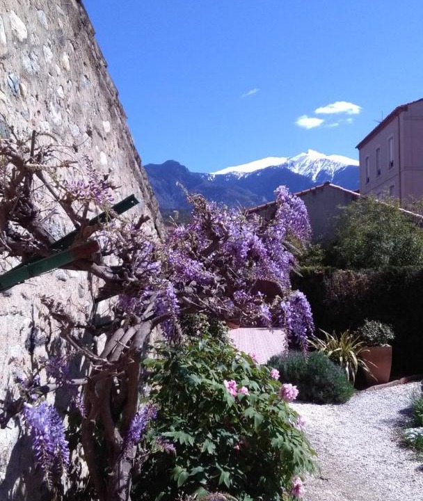 Photo of Others in Prades