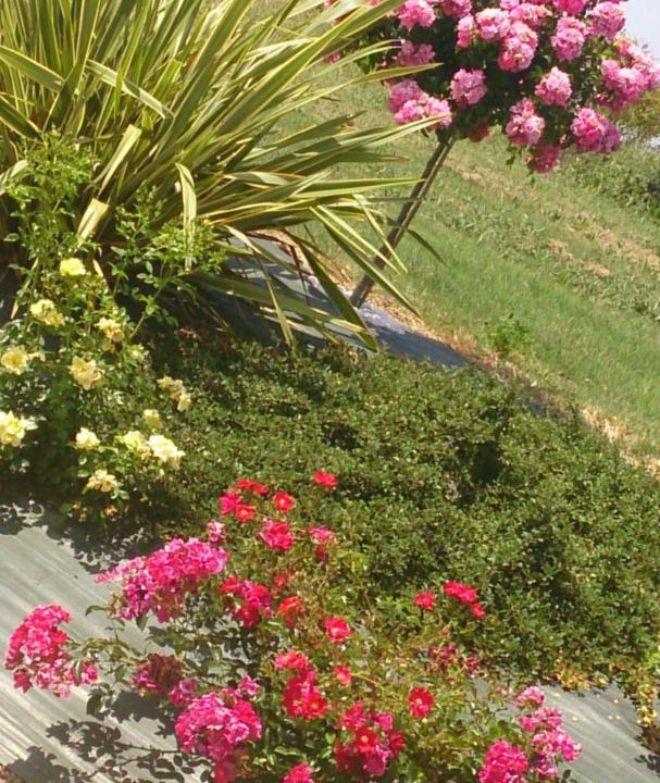 Photo of Others in Senouillac