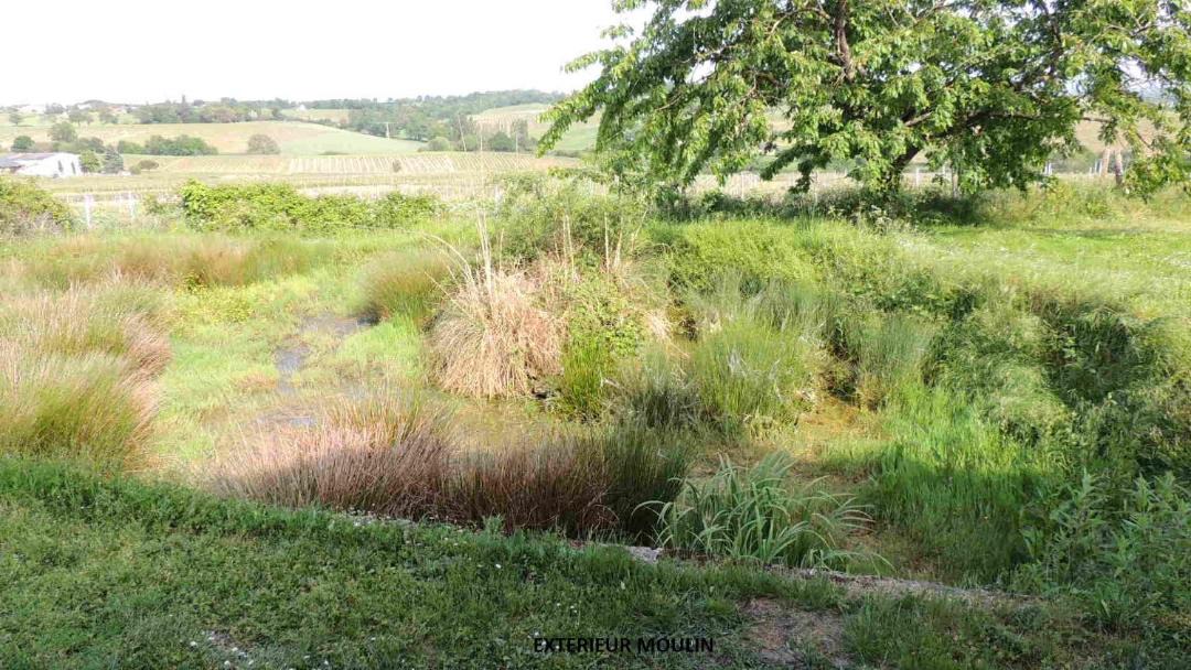 Photo of Outdoor in Faye-d'Anjou