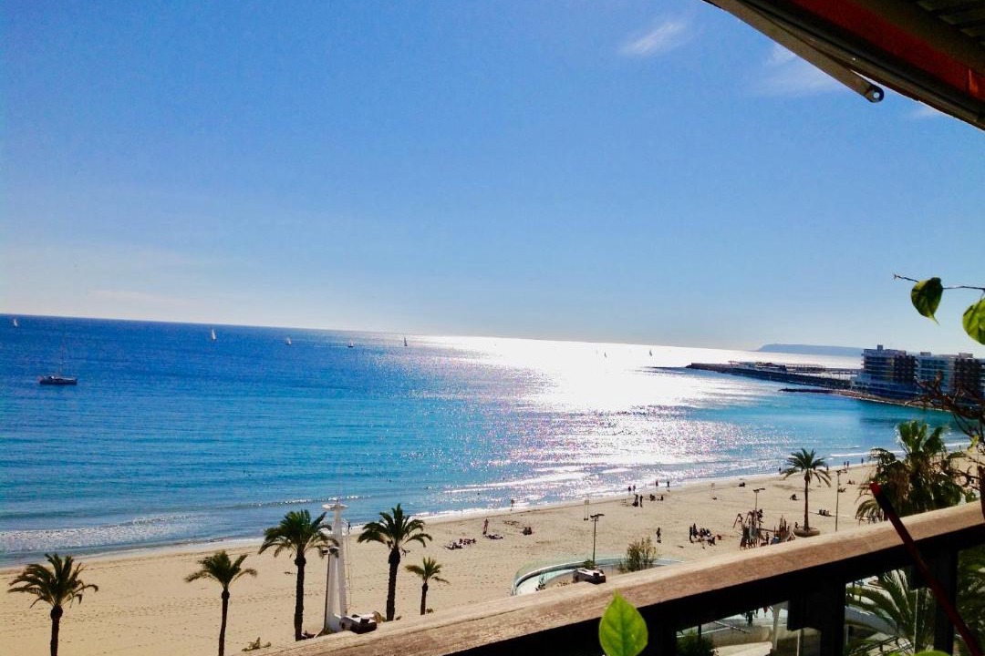 Photo of Outdoor in Raval Roig