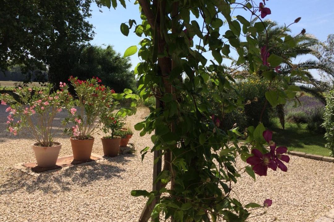 Photo of Others in Lamotte-du-Rhone